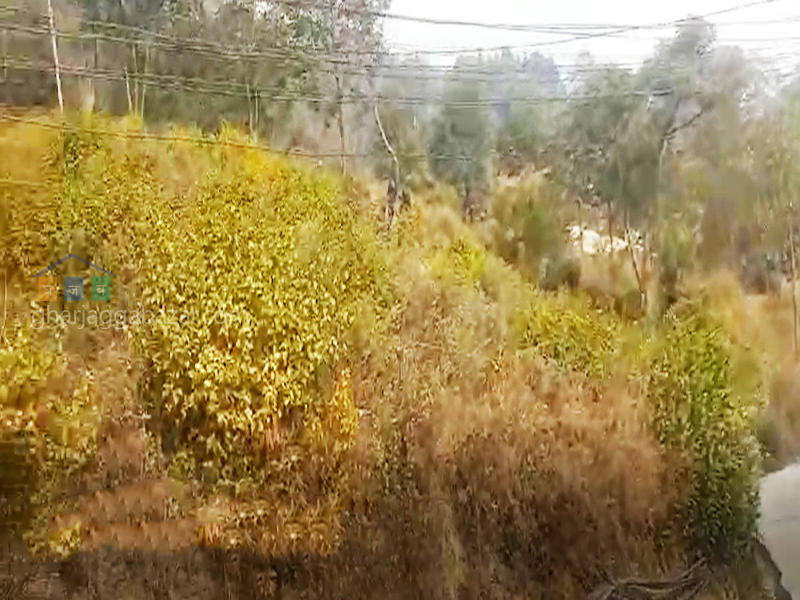 Land on Sale at Narayanthan Height